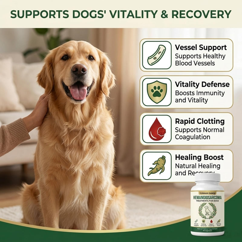 Yunnan Sanqi Capsules for Dogs - Herbal Circulation, Blood Flow & Vitality Support, Helps Manage Hemangiosarcoma-Related & Minor Bleeding -90 Capsules