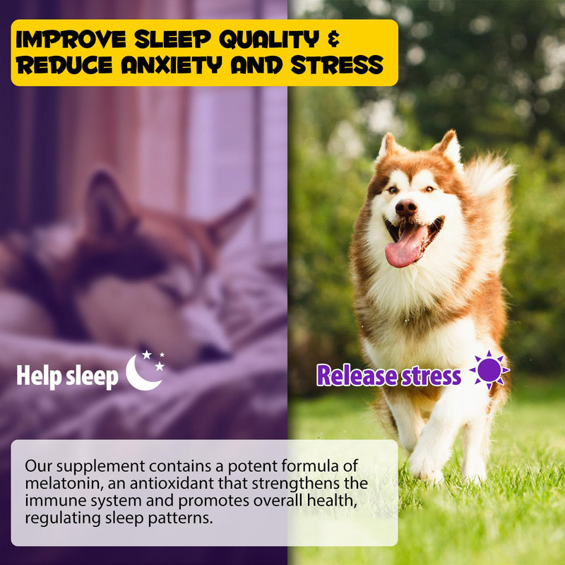 2PCS Melatonin for Dogs,Sleep Aid Drops for Dogs and Cats,Anxiety Relief,Support Relaxation & Deep Sleep for Dogs 120ml Dog