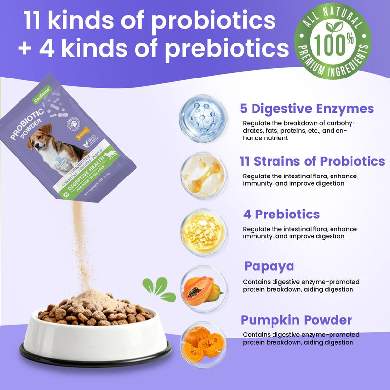 Probiotic Powder for Dogs Travel Set, Dog Probiotics for Digestive Health, Itchy Skin, Immune Health, Gas Relief & Diarrhea for All Ages & Breeds, Duck Flavored Single Serve Packets, 60 Ct