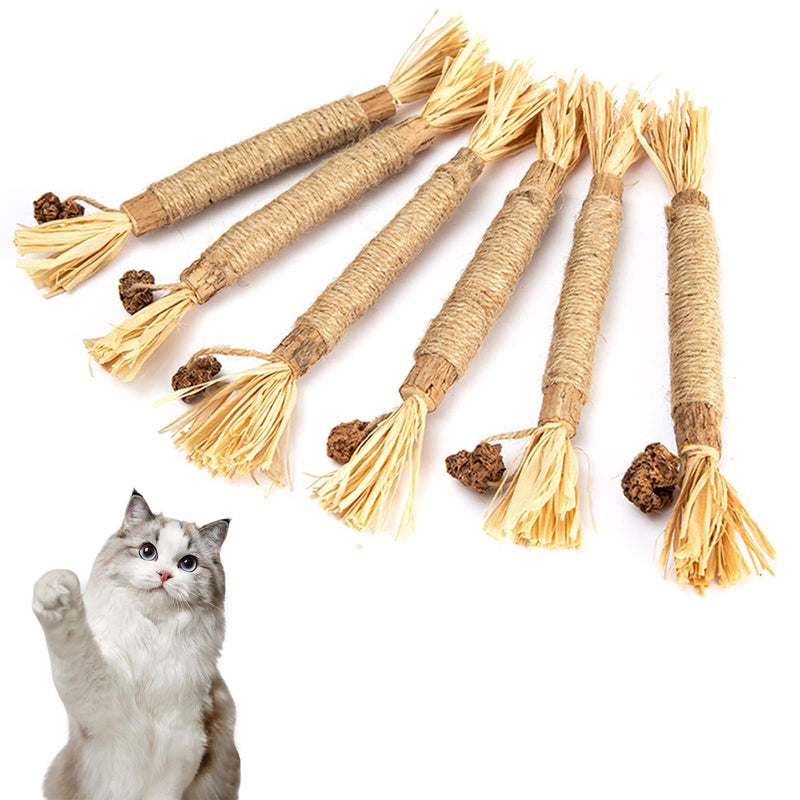 YHT 6Pcs Natural Catnip Toys Chewing Silvervine Chew Sticks for Cat Indoor Teeth Cleaning Stress Release Toy for Kitten Teething