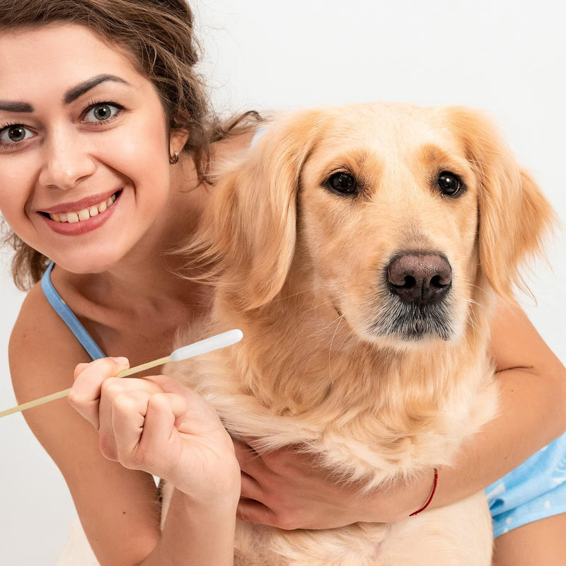 120 Pcs Pet Dog Ear Cleaner Cotton Buds 6 Inch Ear Cleaning for Dogs Wood Pet Long Cotton Buds Cat Cotton Buds for Pets