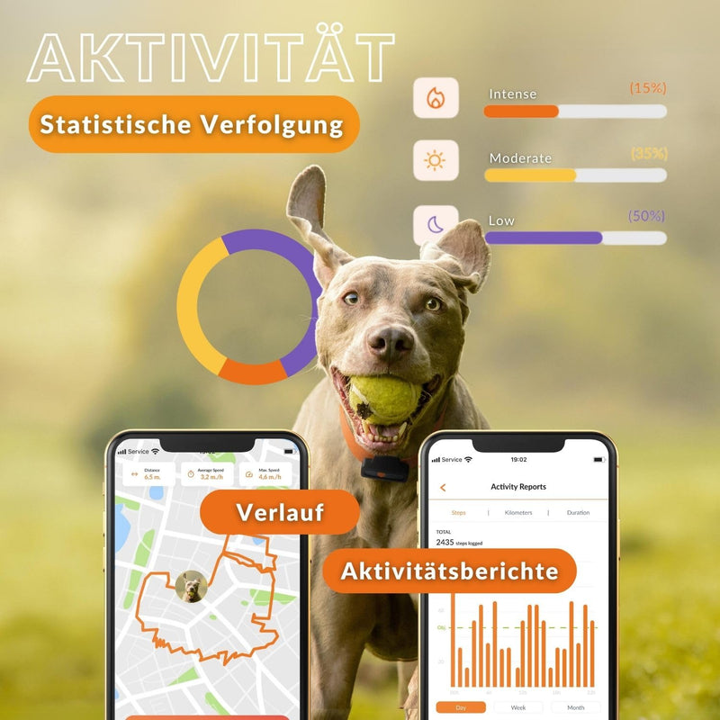 Weenect XS for dogs - NEW mini GPS tracker for dogs | Real-time GPS tracking | Smallest model on the market | Subscription | Waterproof Black (2023) - BeesActive Australia