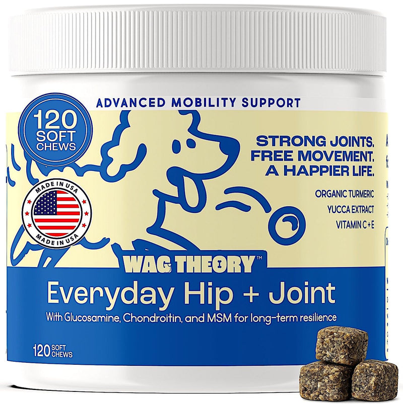 Hip & Joint Supplement for Dogs – Glucosamine Chondroitin MSM – Dog Joint Supplement & Mobility Support Chews with Turmeric & Yucca – Arthritis Support – 120 Soft Chews