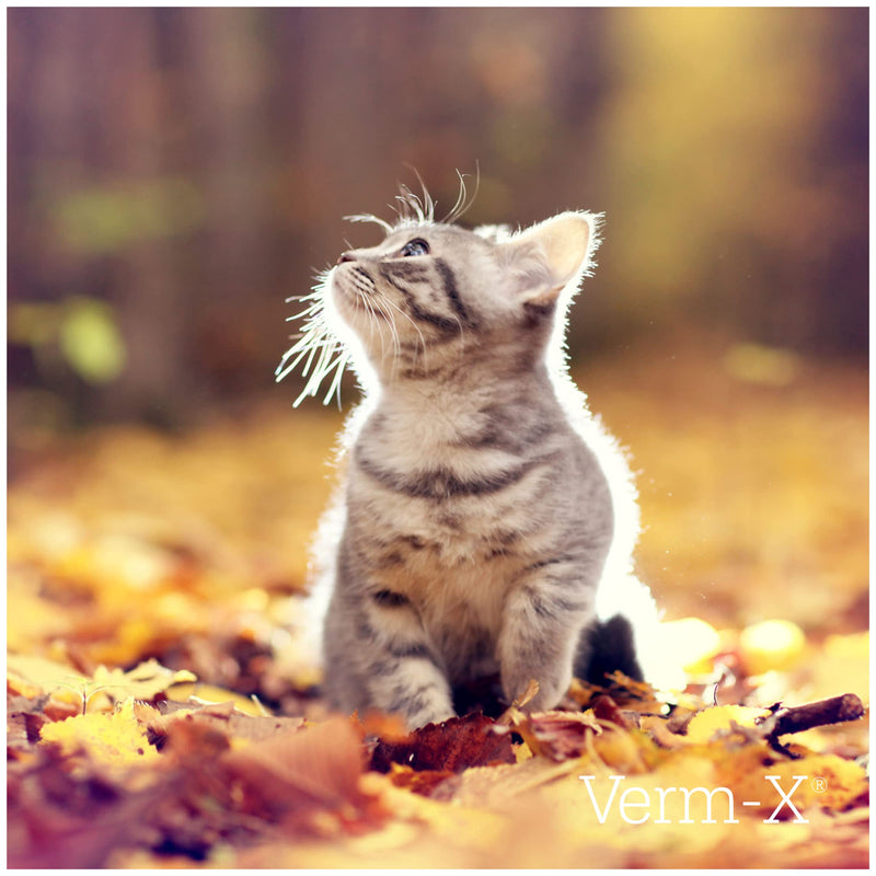 Verm-X 100% Natural Treats for Cats. Supports  Intestinal Hygiene. Vet Approved. UFAS Assured. Contains  Prebiotic for Gut Biome Quality. Restores and Maintains Gut Vitality. Wormwood Free Recipe. 60 g (Pack of 2) Single
