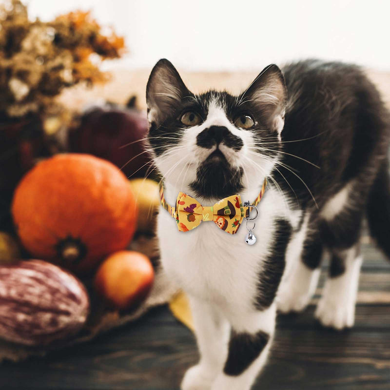 2pcs Thanksgiving Cat Collars, Breakaway Cat Collars with Bow Bell Pumpkin Cat Collar Cute Fall Autumn Holiday Kitten Collar Accessories for Boys Girls Cats Kitty Costume Decorations (Style 1) Style 1 - BeesActive Australia