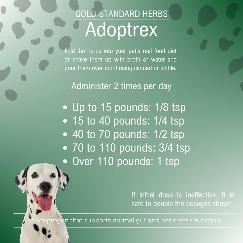 Adoptrex Gut and Pancreatic Function Support Supplement for Dogs by Gold Standard Herbs, All Natural Magnolia and Ginger Combination Powder (85 gram) 85 gram - PawsPlanet Australia