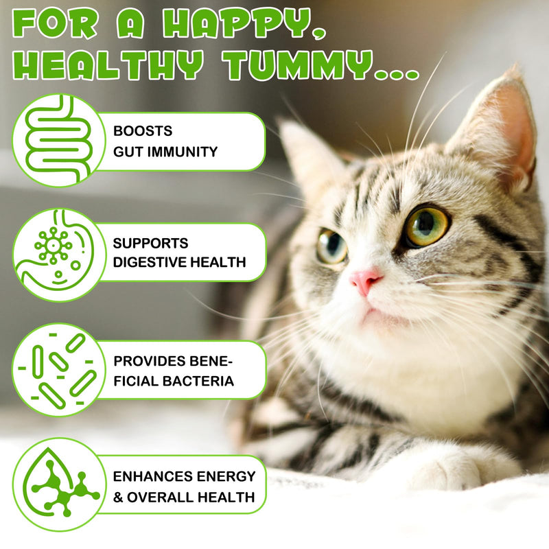 3-in-1 Probiotics for Cats 60ML,Digestive Enzymes & Prebiotics – Gut & Immune Support, Constipation Comfort – Natural Bacon Flavor – for All Ages & Breeds