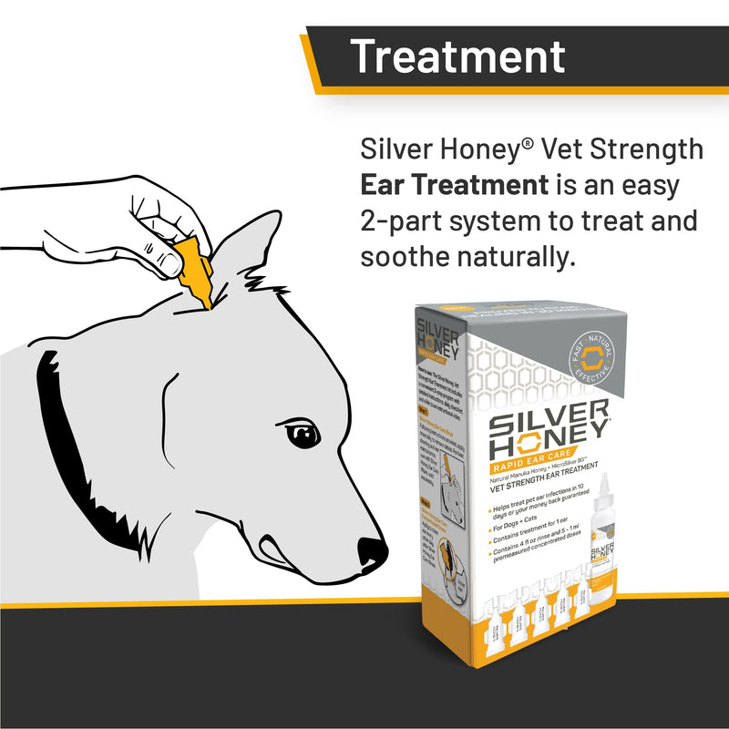 Absorbine Silver Honey Rapid Ear Care Vet Strength Ear Cleaner + Infection Treatment, 10-Day Regimen for 1 Ear, Safe for Dogs & Cats, Medical Grade Manuka Honey & MicroSilver BG - BeesActive Australia