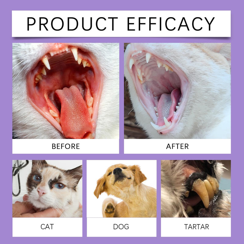 Dog Cat Dental Spray No Brushing No Residue, 50ml/1.69FL.OZ 360° Long Nozzle, Helps Freshen Breath Reduce Plaque, Alcohol-Free for Puppies Kittens All Pets