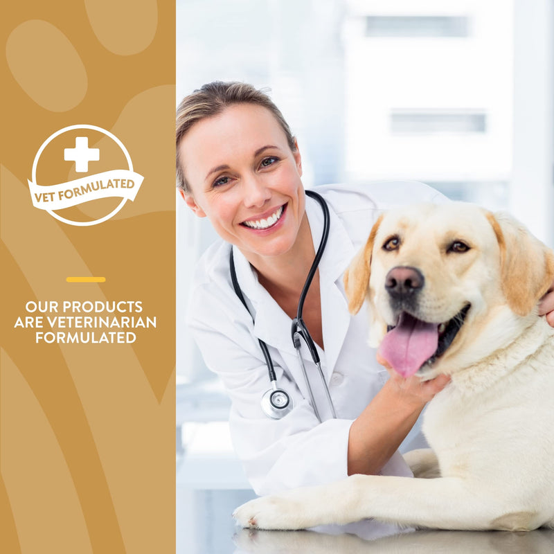 NaturVet Scoopables Omega-Gold Anchovy Oil & Salmon Supplement For Dogs and Cats - Supports Healthy Skin & Coat Plus DHA, EPA, Omega-3, & Omega-6 - Anchovy & Salmon Flavored For Dog and Cat | 11oz Bag 45 Scoops