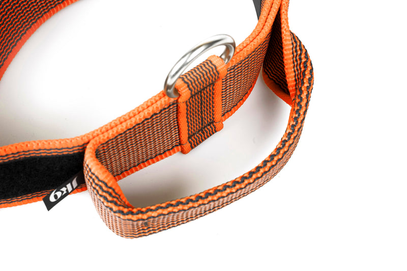 Julius-K9 Color & Gray Collar with Handle, Safety Clasp and Interchangeable Patch, 40mm (38-53cm), Orange-Grey with Handle 40mm (38-53cm) - BeesActive Australia