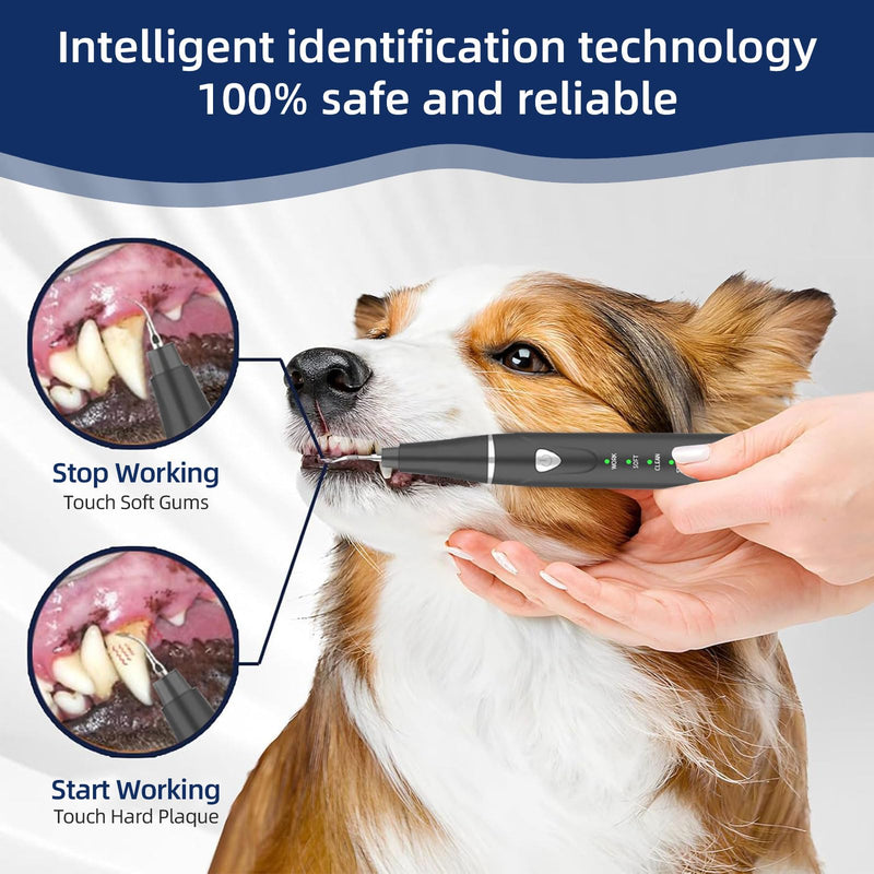 Plaque Remover for Teeth, Pet Ultrasonic Cleaner, Dog Plaque and Tartar Remover with LED Light, Dog Teeth Cleaning Dental Care Kit for Tartar and Stains, Suitable for Dogs and Cats (Black) Black - BeesActive Australia
