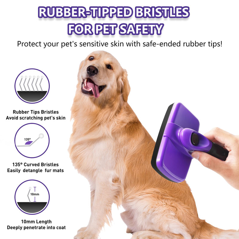 Self-Cleaning Slicker Brush for Shedding Short & Long Haired Dogs, Pet Brush Kit for Grooming Large Small Breeds. Removes Loose Fur, Undercoat and Tangled Hair. Includes Steam Brush for Cats - BeesActive Australia