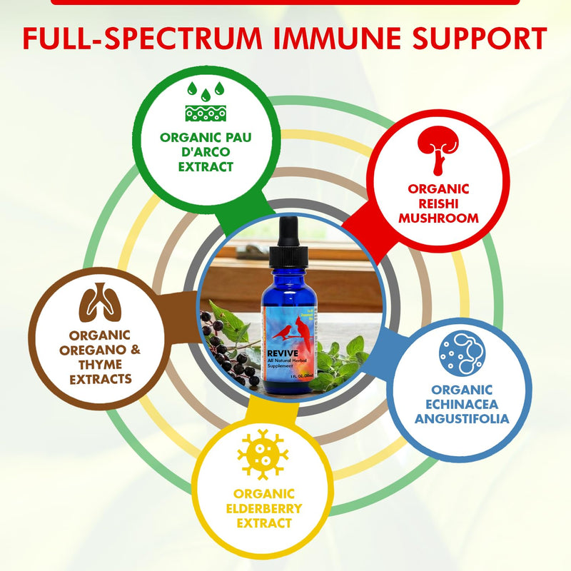Morning Bird Revive 1 Fl oz – Herbal Extract Blend for Immune Support for Birds - Improved Liquid Formula for Optimum Immune Defense & Faster Absorption - Enhanced Digestive Health, Energy & Wellness
