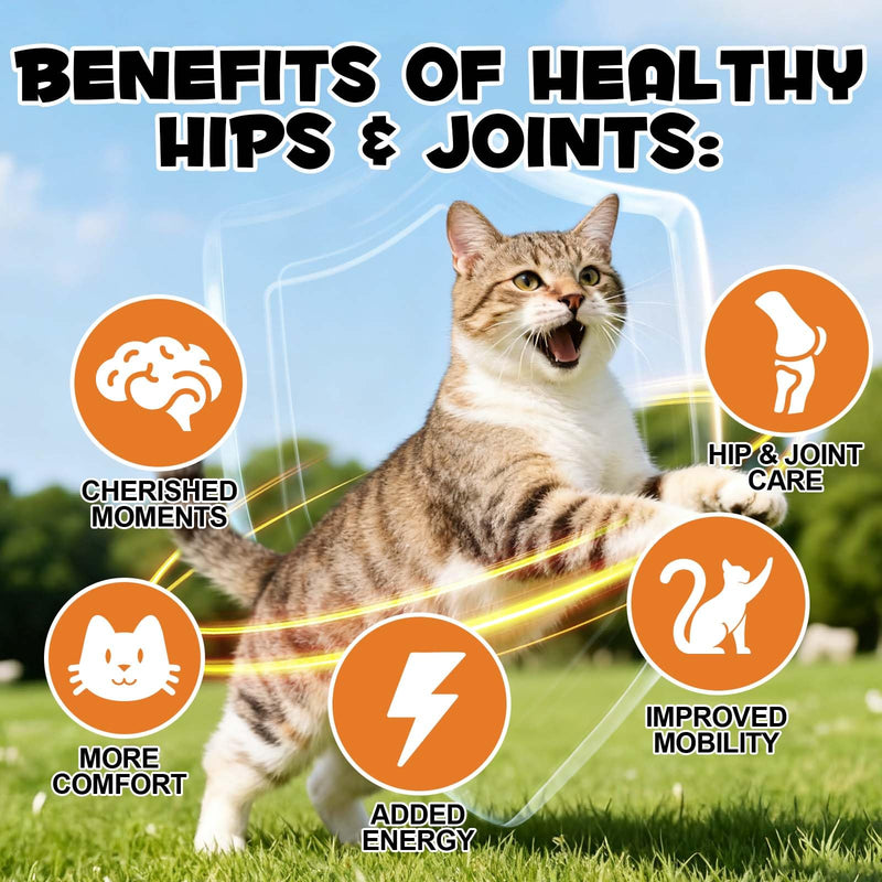 Cat Hip & Joint Health Chews – Supports Mobility & Cartilage with Glucosamine & Green Lipped Mussel,Crunchy Outside & Soft Inside Chicken Flavour, For Cats & Kittens 100g (30-Day Supply)