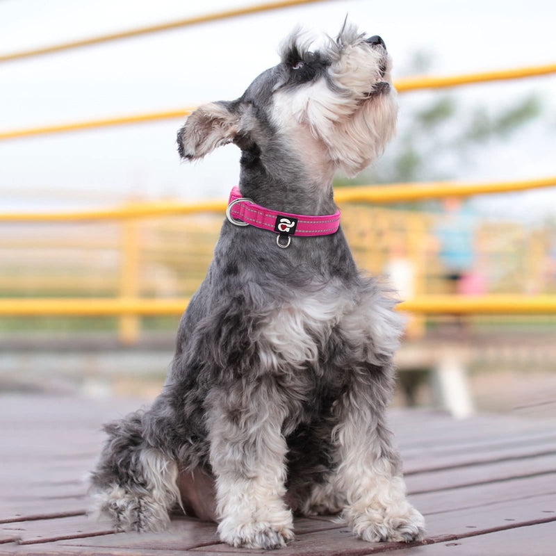 azuza Reflective Dog Collar,Soft Neoprene Padded Pet Collar with ID Tag Ring,Adjustable for Small Dogs,Hot Pink,S Small (Pack of 1) Hot Pink - BeesActive Australia