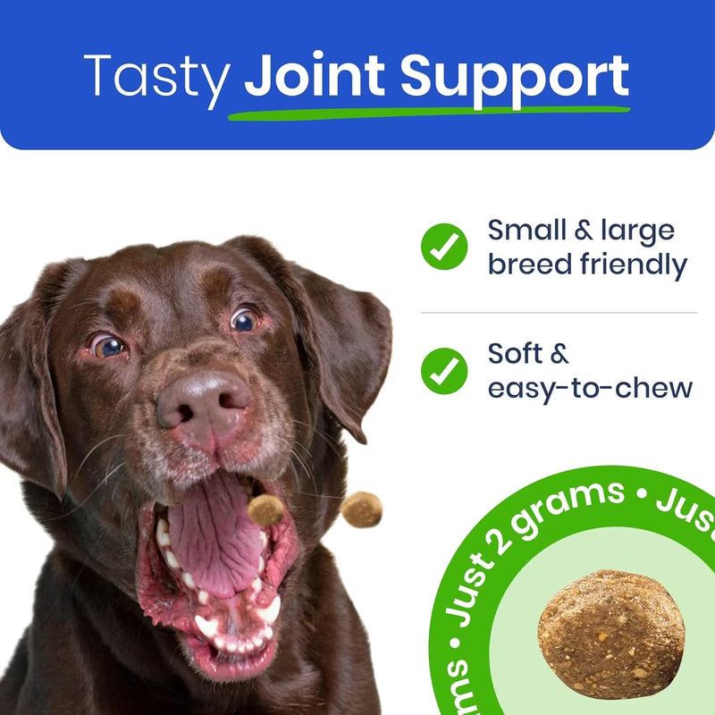 BARK&SPARK Glucosamine Chondroitin Dog Hip & Joint Supplement - Joint Pain Relief - Hip & Joint Chews - Joint Support- Senior Doggie Vitamin Pill - 60 Chews Poulty