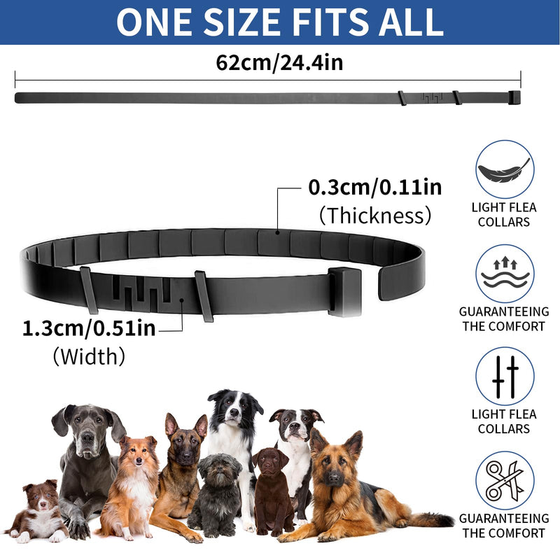 4 Pack Flea Collar for Dogs, Flea and Tick Collar for Dogs Puppies, 32 Months Flea and Tick Prevention for Dogs, Dog Flea Collar, Dog Flea and Tick Treatment-Black and Purple - BeesActive Australia