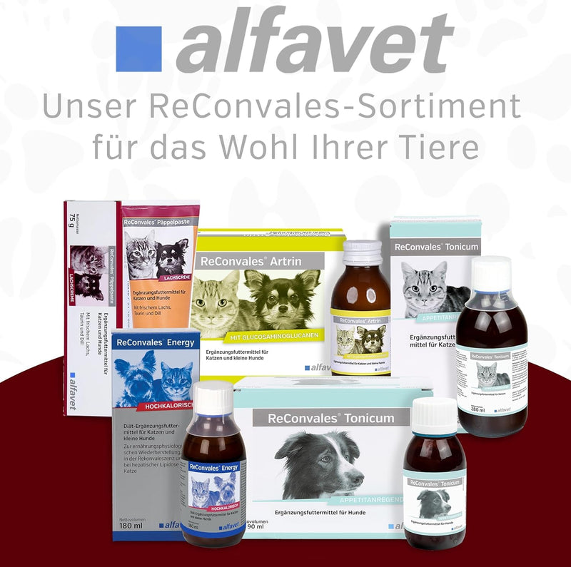 alfavet, ReConvales Päppelpaste, pack of 3, salmon cream, supplementary food for cats and dogs, 3 x 75g tube - BeesActive Australia