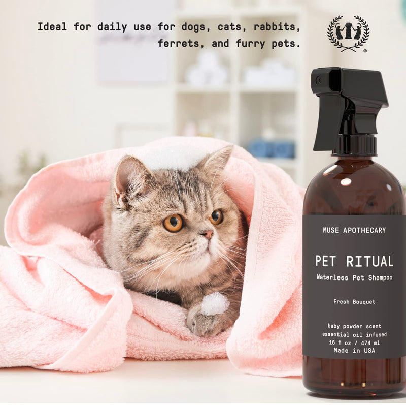 Muse Apothecary Pet Ritual Aromatic Waterless Shampoo for Pets - No Rinse Dog Shampoo - Waterless Shampoo for Cats - Waterless Dog Shampoo for Large Dogs - Essential Oils Infused, 16oz Fresh Bouquet 16 Fl Oz (Pack of 1) - PawsPlanet Australia