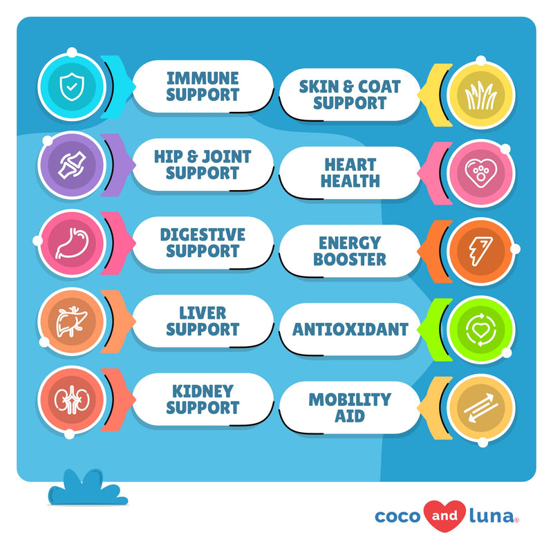 Same + 10 in 1 Multivitamin for Dogs - Liver Support, Hip and Joint Support, Skin Health, Immune Support and Digestive Health, Cognitive Health - PawsPlanet Australia