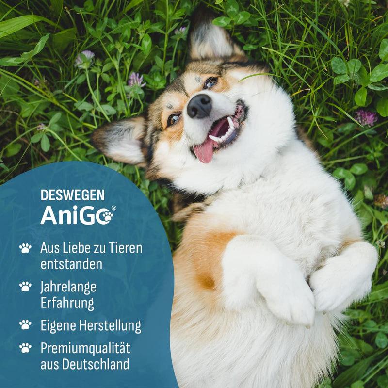 AniGo Worm-Herb Liquid Drops liquid XL 110ml, worm treatment secondary for all pets, dogs, cats, natural recipe, worm medication secondary, no anthelmintic drops 110ml - BeesActive Australia
