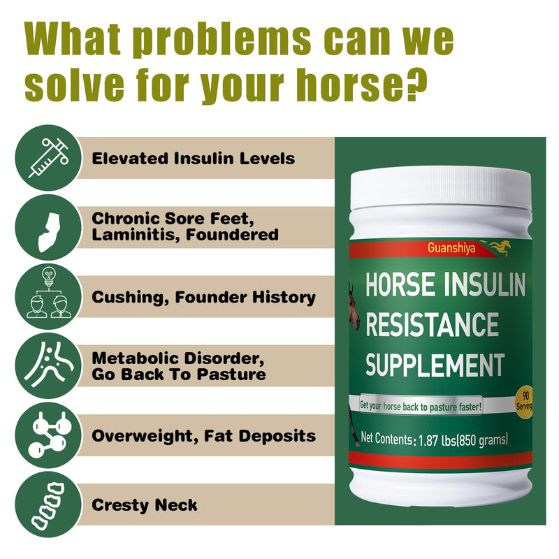 Insulin Resistance Supplement for Horses - Horse Laminitis Treatment-Natural Laminitis Herbal Powder for Sore Feet & Chronic Laminitis, 1.87lb (90-Day Supply) 1.87lb (90-Day Supply) - PawsPlanet Australia