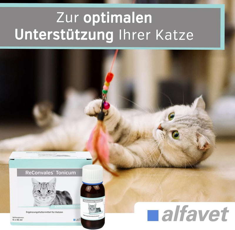 alfavet ReConvales Tonicum cat, 6 x 45ml, appetite-stimulating supplementary food for convalescence and underweight, 6 x 45ml - BeesActive Australia