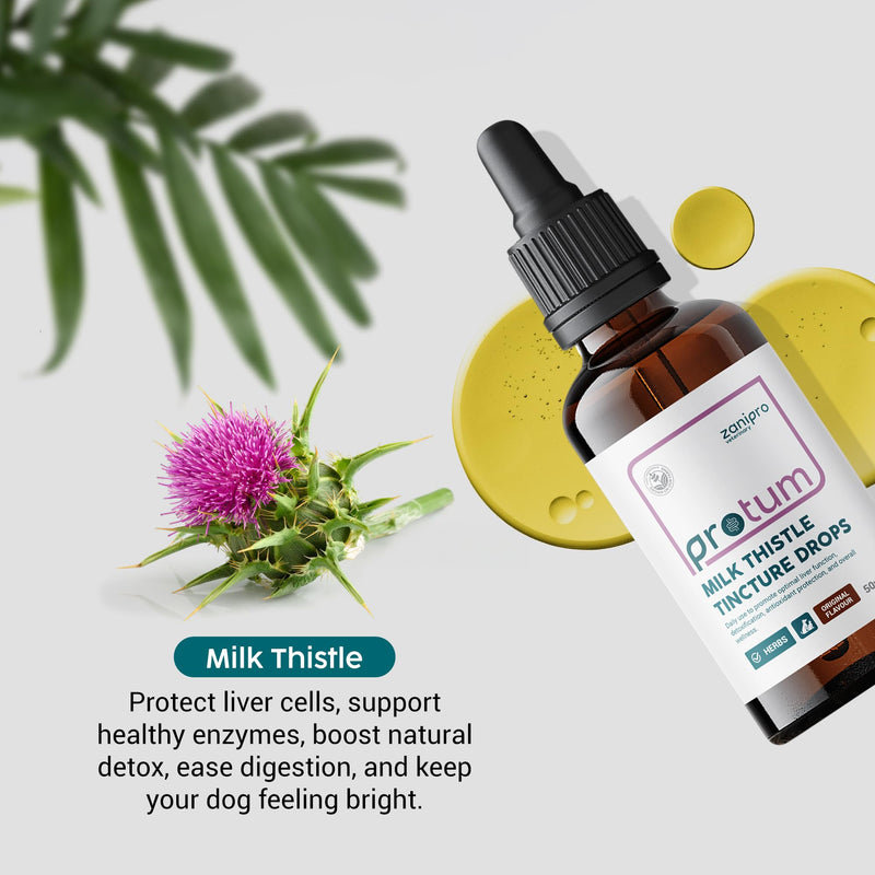 Milk Thistle for Dogs & Cats - Liver Supplements for Dogs, 100% Herbal Cat & Dog Supplements, Silymarin Antioxidant, Milk Thistle Liver Detox Tincture Drops Supports Immune System | 50ml
