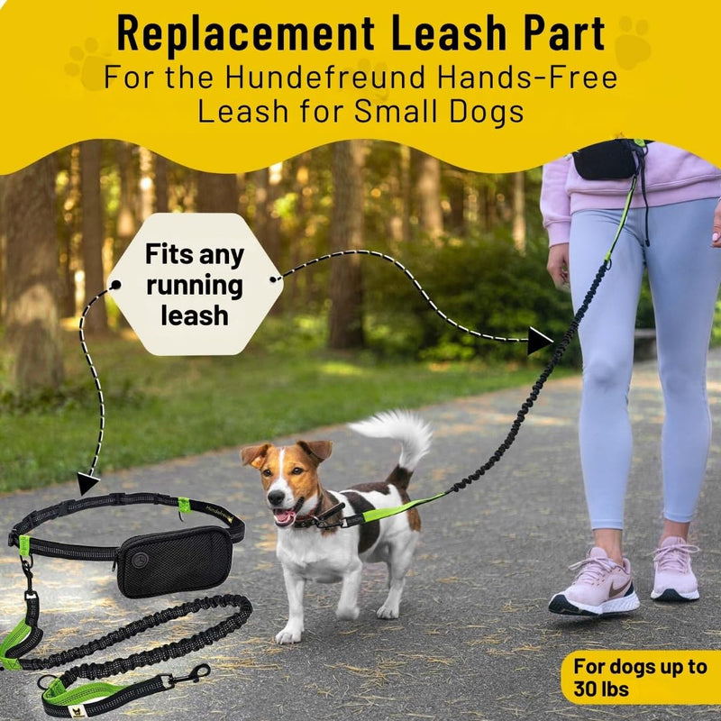 Hundefreund Hands-Free Dog Leash Replacement Bungee (43–63”) – Extension for Small Dogs – Shock-Absorbing with Dual Handles & Reflective Stitching (Green) - BeesActive Australia