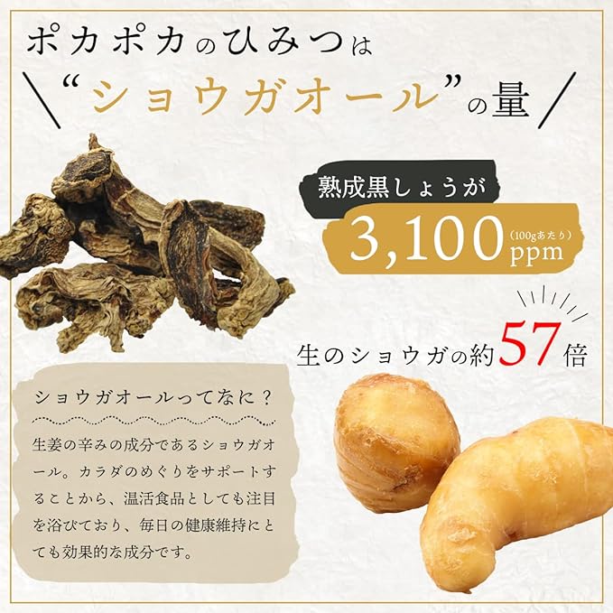 Black Ginger Supplement Tablets 90 Tablets Approximately 1 Month's Supply Made in Miyazaki Prefecture Domestic Black Ginger Ginger All Fermented Aging Warm Life Sensitive to Cold - BeesActive Australia