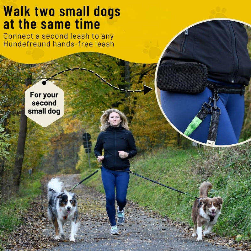 Hundefreund Hands-Free Dog Leash Replacement Bungee (43–63”) – Extension for Small Dogs – Shock-Absorbing with Dual Handles & Reflective Stitching (Green) - BeesActive Australia