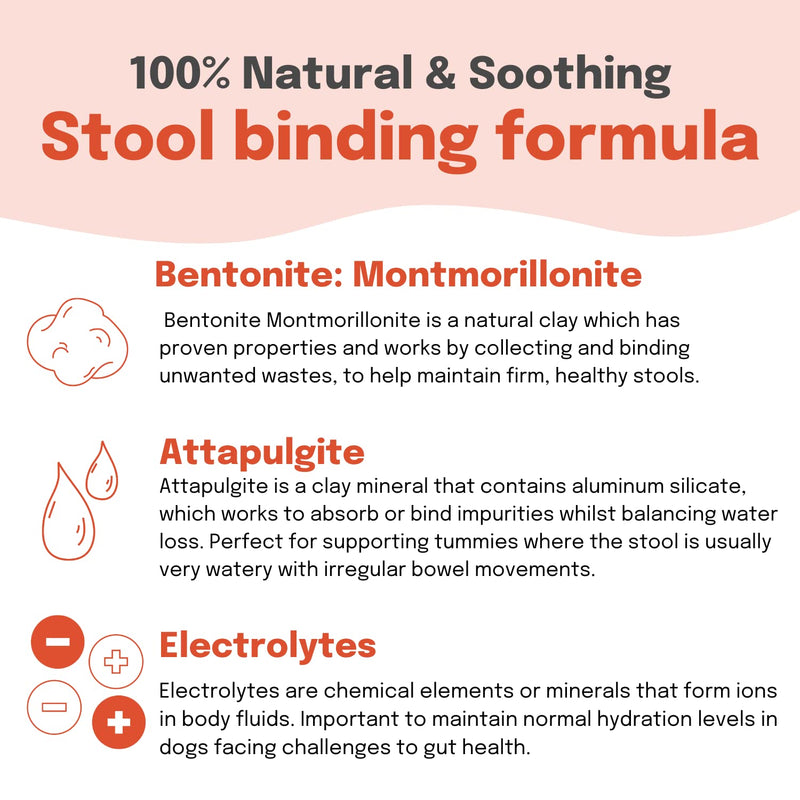 Buddy & Lola Fast-Acting Dog Diarrhea Treatment with Electrolytes - 20 Servings/100ml - Tummy Settler For Dogs All Breeds, Sizes and Ages - Syringe Included 100 ml (Pack of 1)