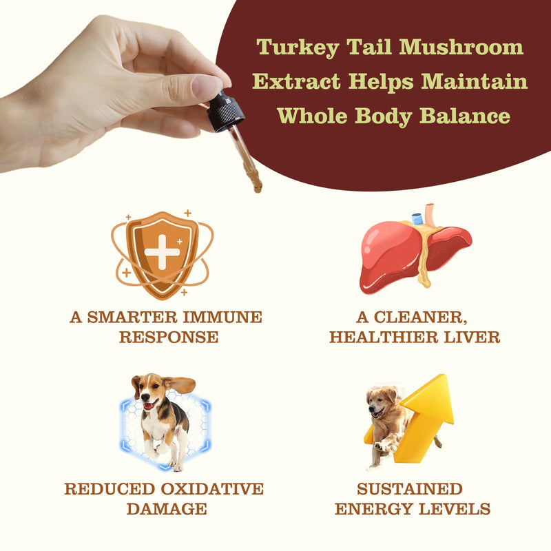 Turkey Tail Mushroom Extract for Dogs & Cats Lipoma Lumps Bumps Warts, | Boost Immunity, Young Weak & Senior & Low-Vitality & Post-Surgery Pets, with Chaga & Reishi Mushrooms Extract
