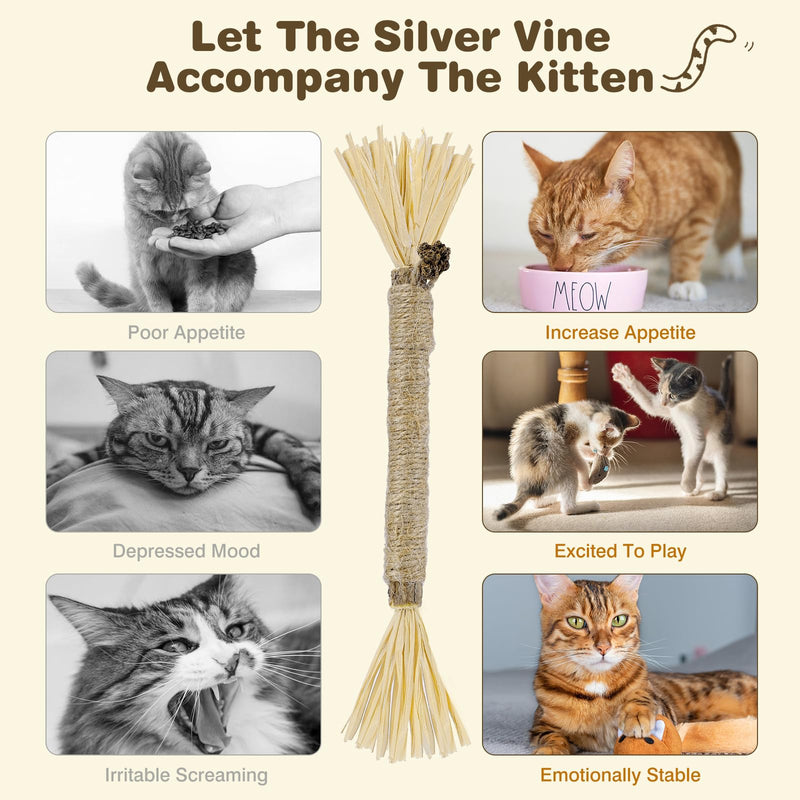 4 Pack Silvervine Sticks for Cats - Cat Chew Toy for Teeth Cleaning, Edible Matatabi Kitty Chew Sticks, Catnip Cat Toys for Indoor Cats (4 Sticks) 4 Sticks Grey - BeesActive Australia