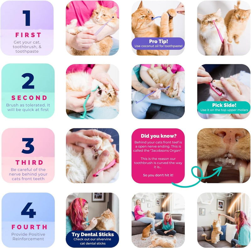 RYERCAT Set of 2 Dual Sided Cat Toothbrush - Kitten Toothbrush with Micro Head to fit into Cat/Kittens Mouth - Cat Dental Care Supplies - Pet Toothbrush for Cats(Lavender Purple & Ocean Blue) Lavender Purple and Ocean Blue - PawsPlanet Australia