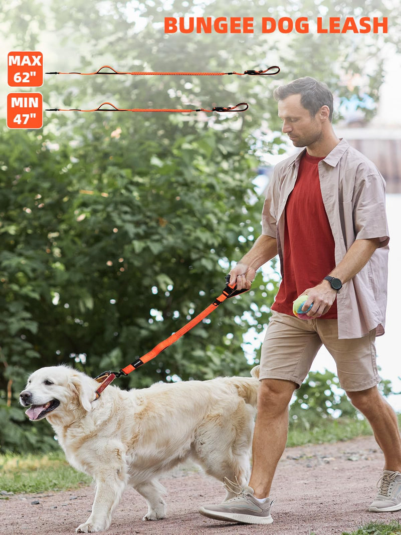 Heavy Duty Double-Handle Dog Leash with Reflective Design,4~6FT No-Pull Dog Leash for Medium to Large Dogs,Traffic Handle and Retractable Car Safety Harness with Elastic Bungee Leash. - BeesActive Australia