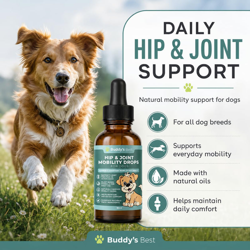 BUDDY'S BEST Twin Pack Natural Joint Support for Dogs – With Flaxseed, Hemp, Ginger & Turmeric Oils – Helps Maintain Mobility & Flexibility – Supports Overall Well-being – 50ml Pack of 2