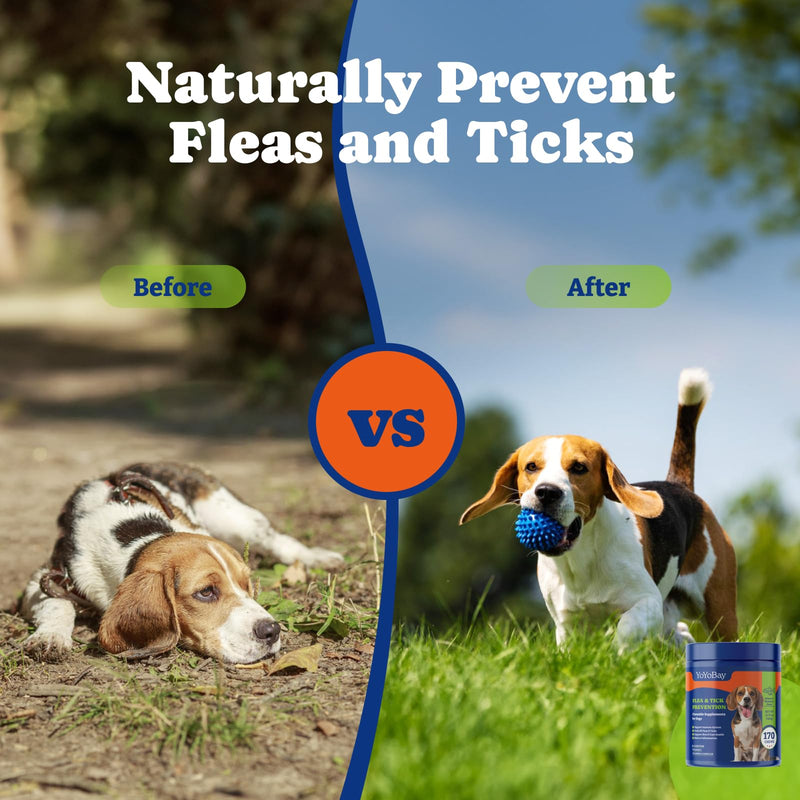Flea and Tick Prevention for Dogs Chewable - 170 Soft Chews, Salmon & Blueberry Flavor - Dog Flea and Tick Treatment Chewable, Natural Defense- Dog Immune Support Supplement - BeesActive Australia