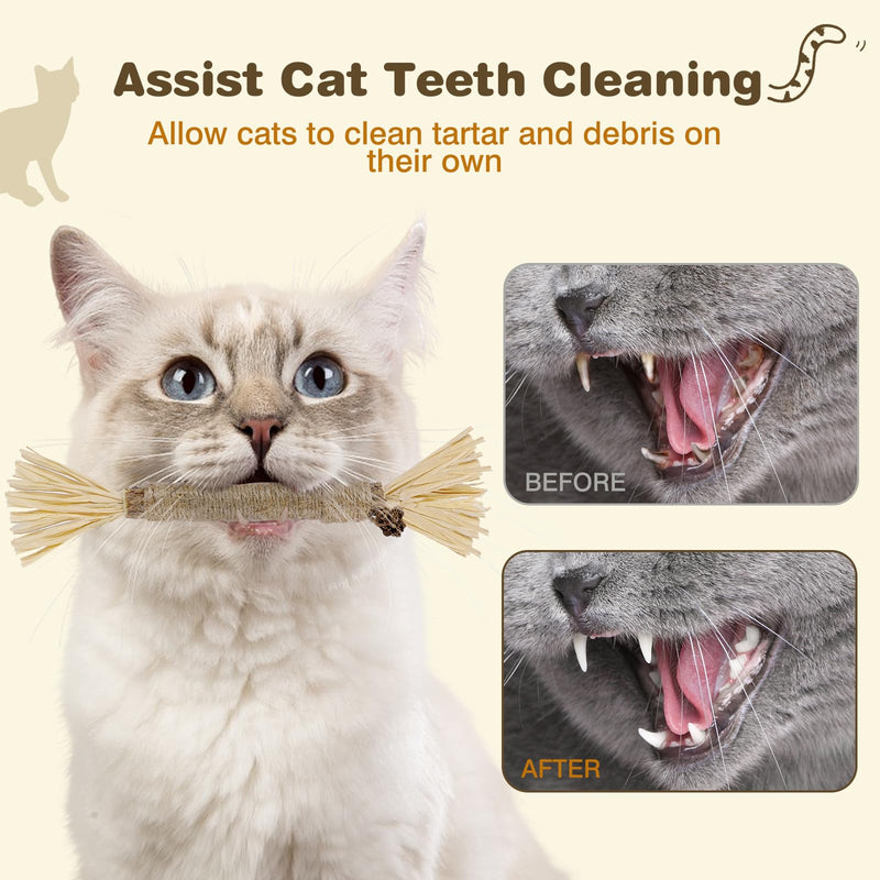 4 Pack Silvervine Sticks for Cats - Cat Chew Toy for Teeth Cleaning, Edible Matatabi Kitty Chew Sticks, Catnip Cat Toys for Indoor Cats (4 Sticks) 4 Sticks Grey - BeesActive Australia