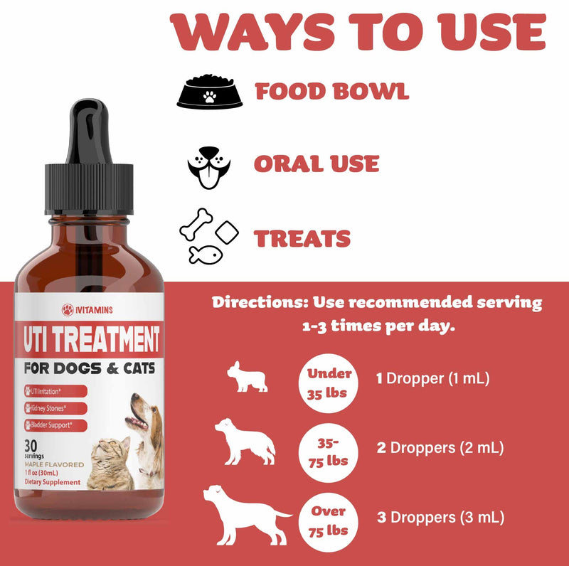 Dog UTI Treatment | Cat UTI Medicine | Cat UTI Remedy | Cranberry Supplement for Dogs | Pumpkin for Cats | Dog UTI | Cat UTI | Cranberry for Dogs | Cat Urinary Tract Infection Treatment | 1 fl oz - PawsPlanet Australia