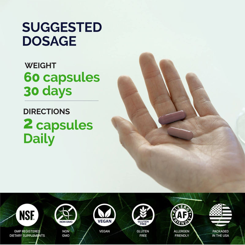 Beet Root 1000mg Capsules with Vitamin E -Supplement, Immune Support, Athletic Performance with Vegan 60 Caps, for Women and Men - BeesActive Australia