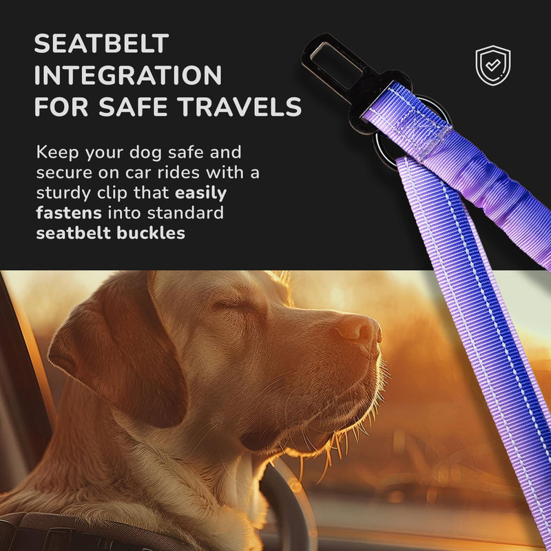 NeoFlex Premium Dog Leash - Stylish Leash for Medium, Small & Large Dogs - Heavy Duty, Wearable Design for You & Dog - Ideal for Pulling Dogs & Large Breeds - Durable & Comfortable - Purple