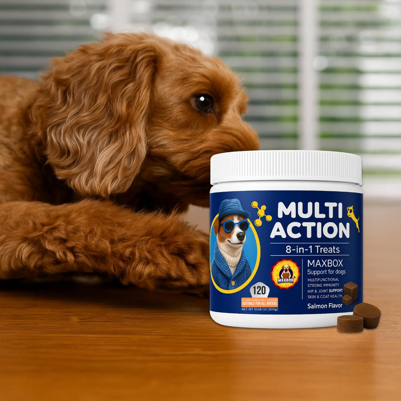 Dog Vitamins with DHA, Probiotics & CoQ10, Dog Supplements for 8-in-1 Multivitamin Treats, Complete Daily Wellness Supports Brain, Heart, Skin, Coat, Immunity, Digestion, Joints & Energy
