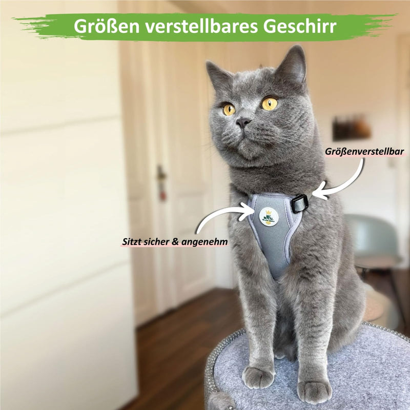 MC-Royal® Premium cat harness [incl. Leash for cats] - size-adjustable harness set for cats with leash - cat harness - cat harness - escape-proof cat harness XS - BeesActive Australia