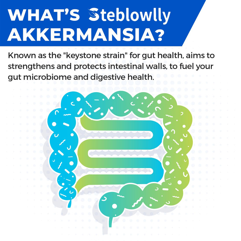 Akkermansia, Akkermansia Muciniphila for Gut Health, Metabolic*, 60 Caps | Akkermansia Probiotics for Women & Men, with Chromium, Green Tea Leaf, B2 - for Digestive Health & Immune