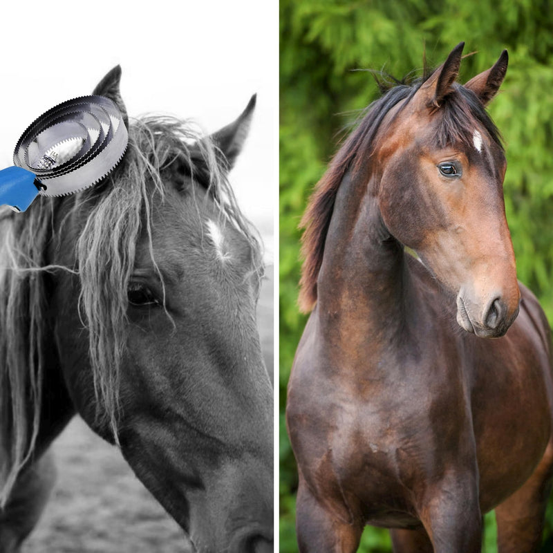 Reversible stainless steel curry comb. With Soft Touch Handle with Large Rubber Curry Comb, Multifunctional Stainless Steel Fine Tooth Comb, Pet Horse Grooming Comb for Dogs and Cats (Blue) Blue - BeesActive Australia