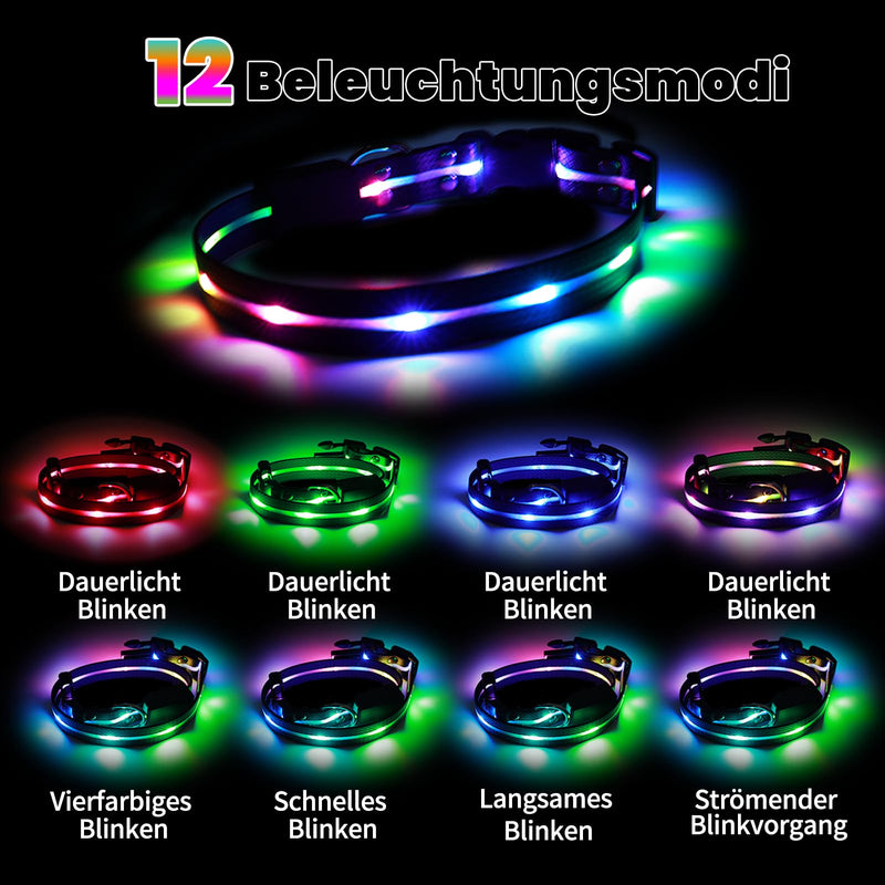 Aisuowa LED light dog collar, USB rechargeable dog collar, luminous, waterproof luminous collar for dogs and cats, 12 lighting modes collar for small, medium and large pets, M - BeesActive Australia