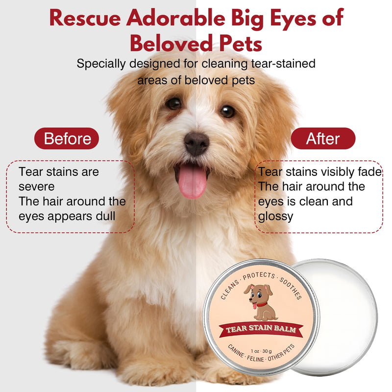 CMYUA Tear Stain Remover Dog, 2 Pack Eye Care for Pets Remove Tear Stains Cat Gently Cleans and Restores Bright Eyes Tear Stone Remover for Dogs - BeesActive Australia
