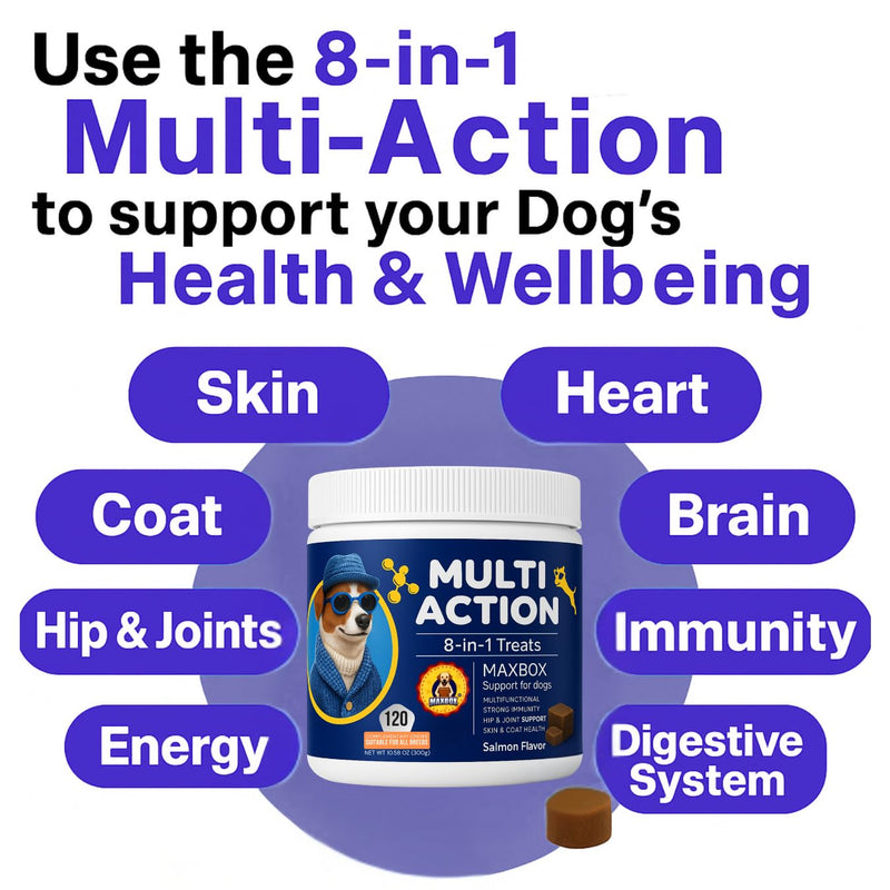 Dog Vitamins with DHA, Probiotics & CoQ10, Dog Supplements for 8-in-1 Multivitamin Treats, Complete Daily Wellness Supports Brain, Heart, Skin, Coat, Immunity, Digestion, Joints & Energy